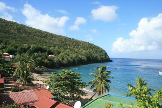 Vert avenir paysage Anse