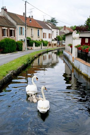Bornet Cyril Asnières-sur-Oise
