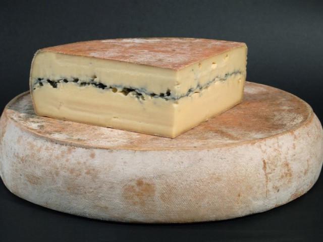 Altitude Jardin Morbier