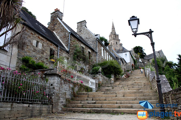 LEPAGE-PAYSAGE - Création - Entretien - Elagage/abattage - Service à la personne Lannion