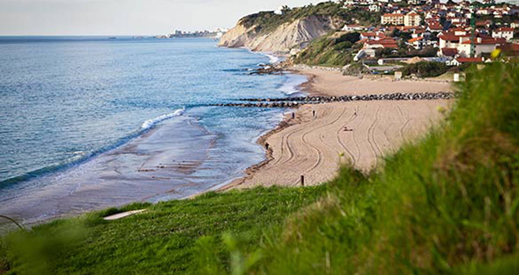 Lascano Daniel Bidart