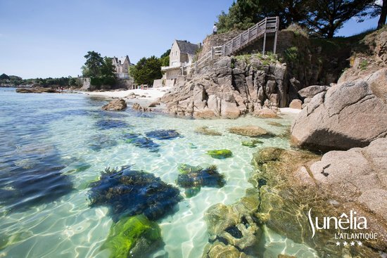 De Rosa Paysage Fouesnant