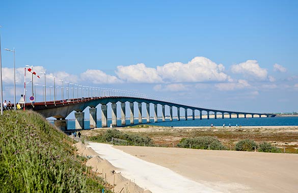 Ré De Jardin Rivedoux Plage Paysagiste Aménagement Et