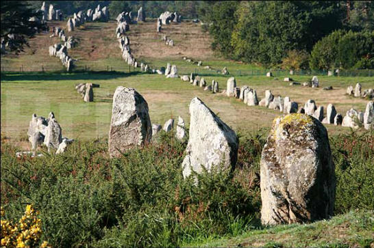 Entreprise Le Rouzic Carnac