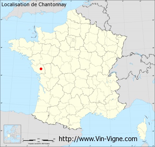 Chagnoleau Olivier Chantonnay