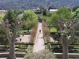 RENOV JARDIN Floure