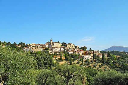 Deminiac Paysages Chateauneuf Grasse Paysagiste Amenagement Et Entretien De Jardin