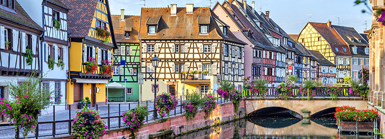 La Main Verte (Kevin Kaczynski) Colmar