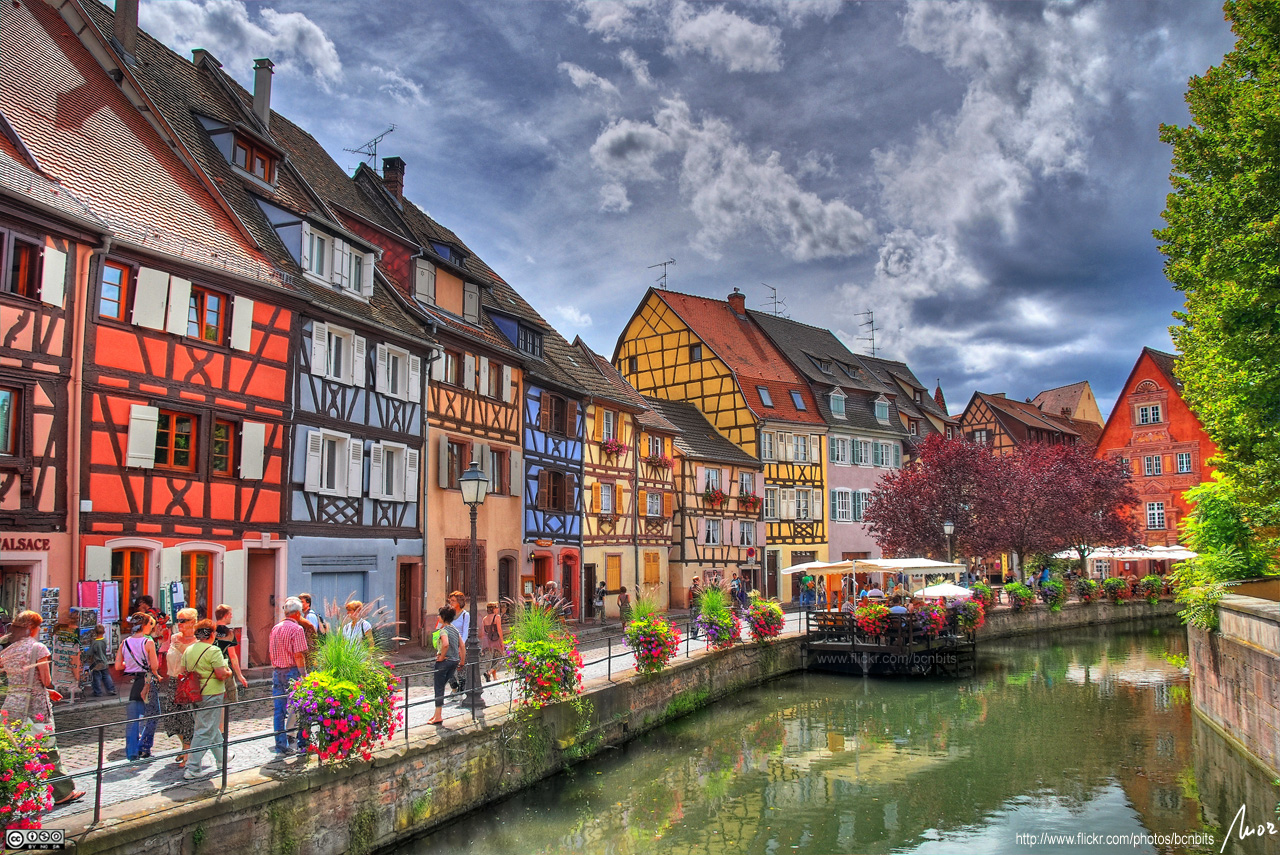 Horticulture Stintzy Flowers Colmar