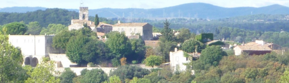 Cyathéa Paysages Montferrier-sur-Lez