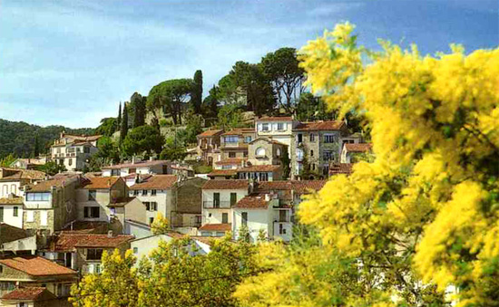 Vert Espace Sarl Bormes-les-Mimosas