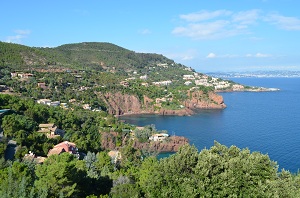 Exo Jardins Sarl Théoule-sur-Mer