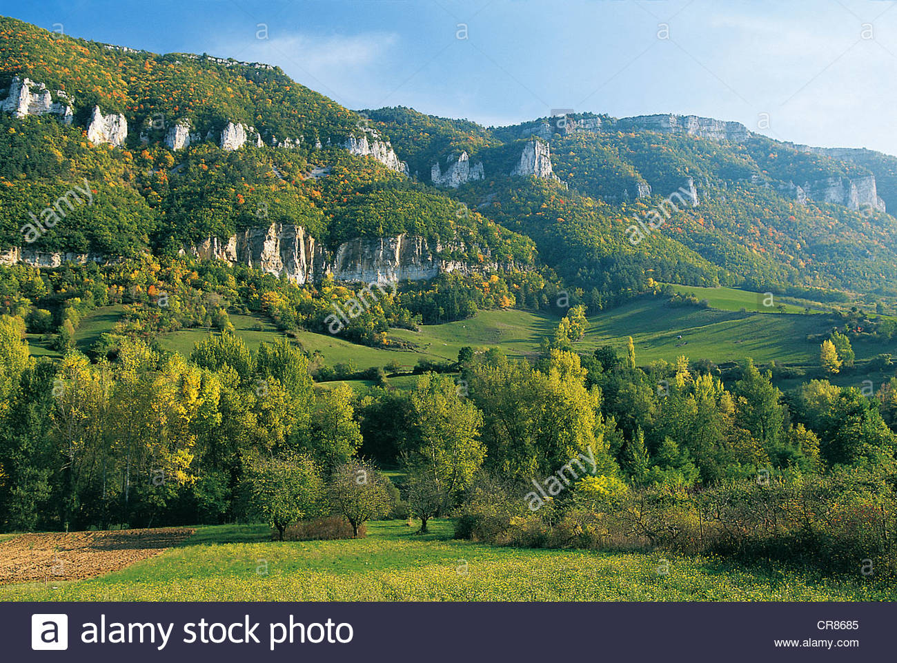 Calmel Christophe Jean Michel Rivière-sur-Tarn
