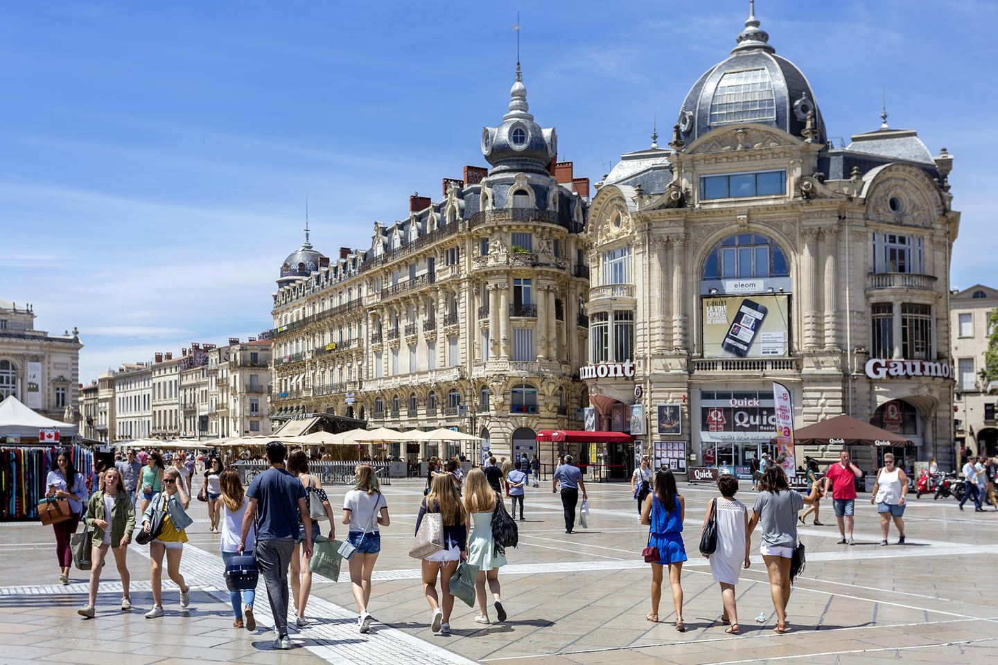 Terrevive Montpellier