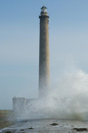 Les Jardins de la Presqu Ile Gatteville-le-Phare