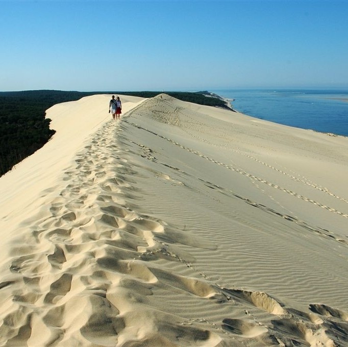 Ortega Guillaume Arcachon