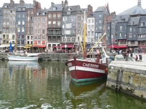 Les Plaisirs de la Nature Duchemin Patrice Honfleur