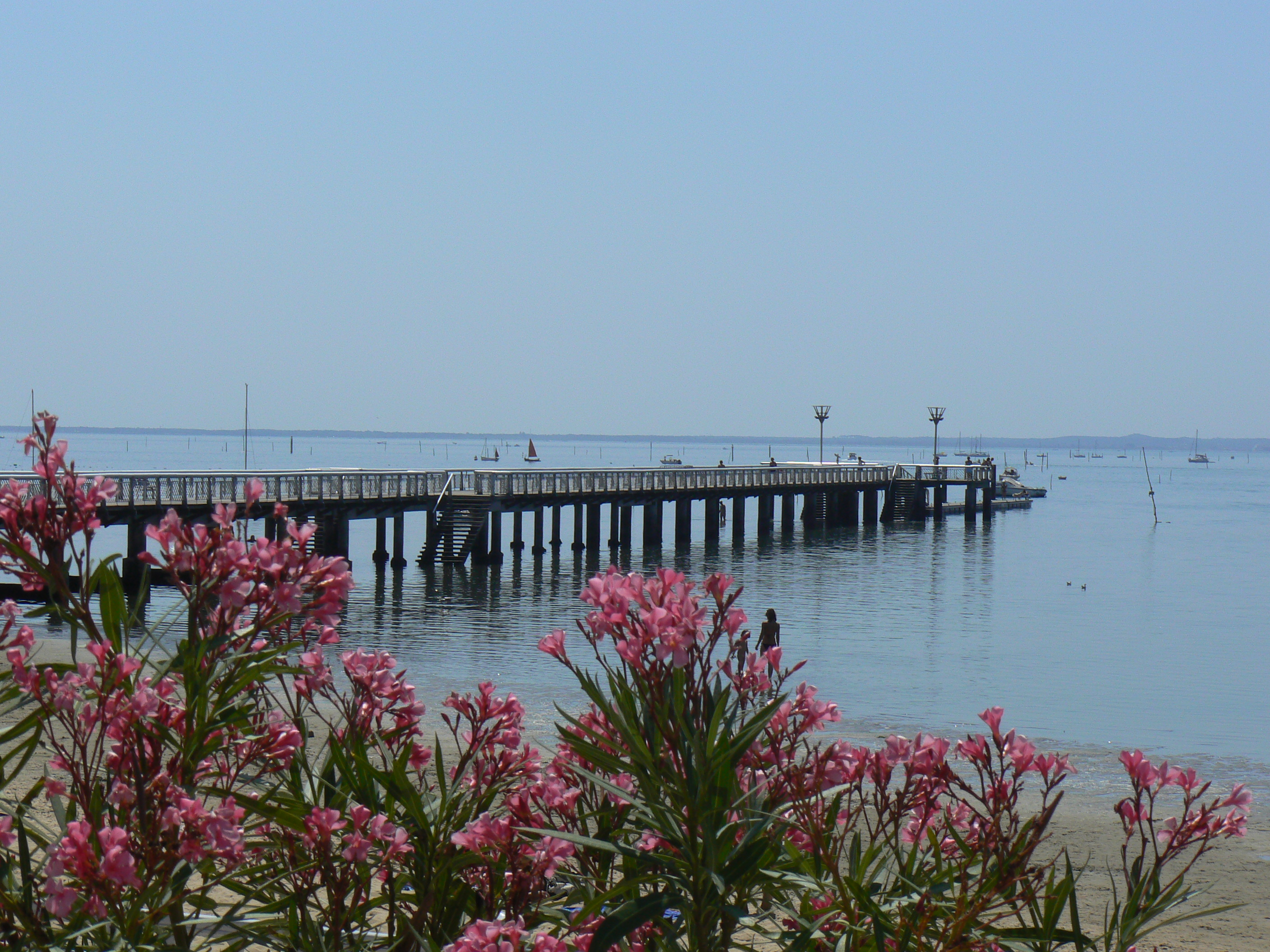 Pierm Andernos-les-Bains
