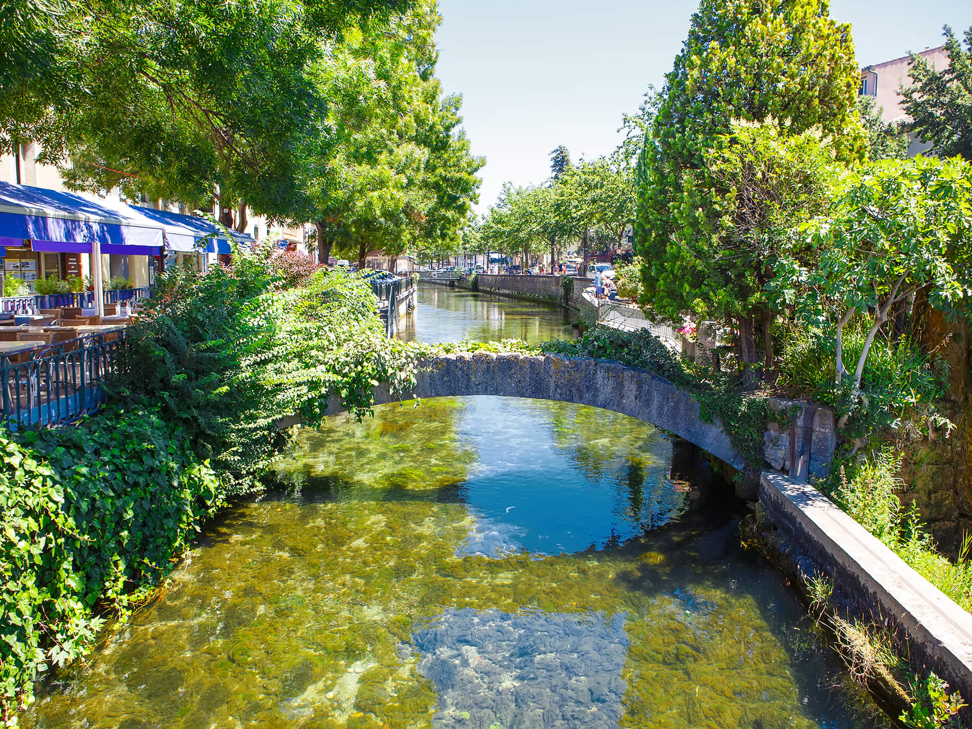 Termeau Nicolas L'Isle-sur-la-Sorgue