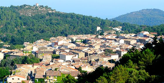 Pirovano Renaud La Garde-Freinet