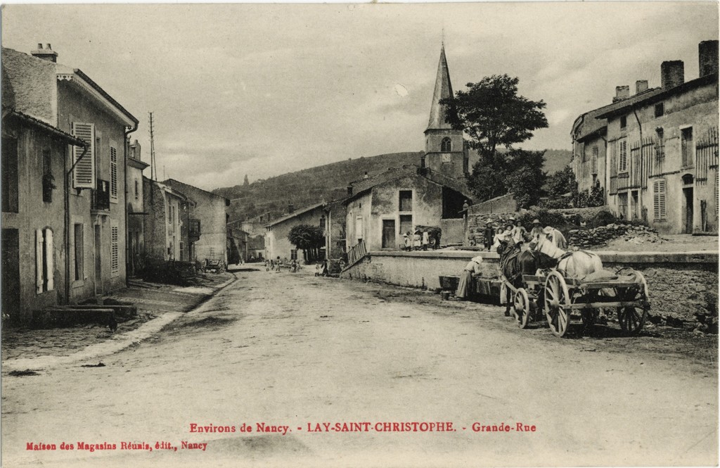 Mouton Philippe Elio Lay-Saint-Christophe