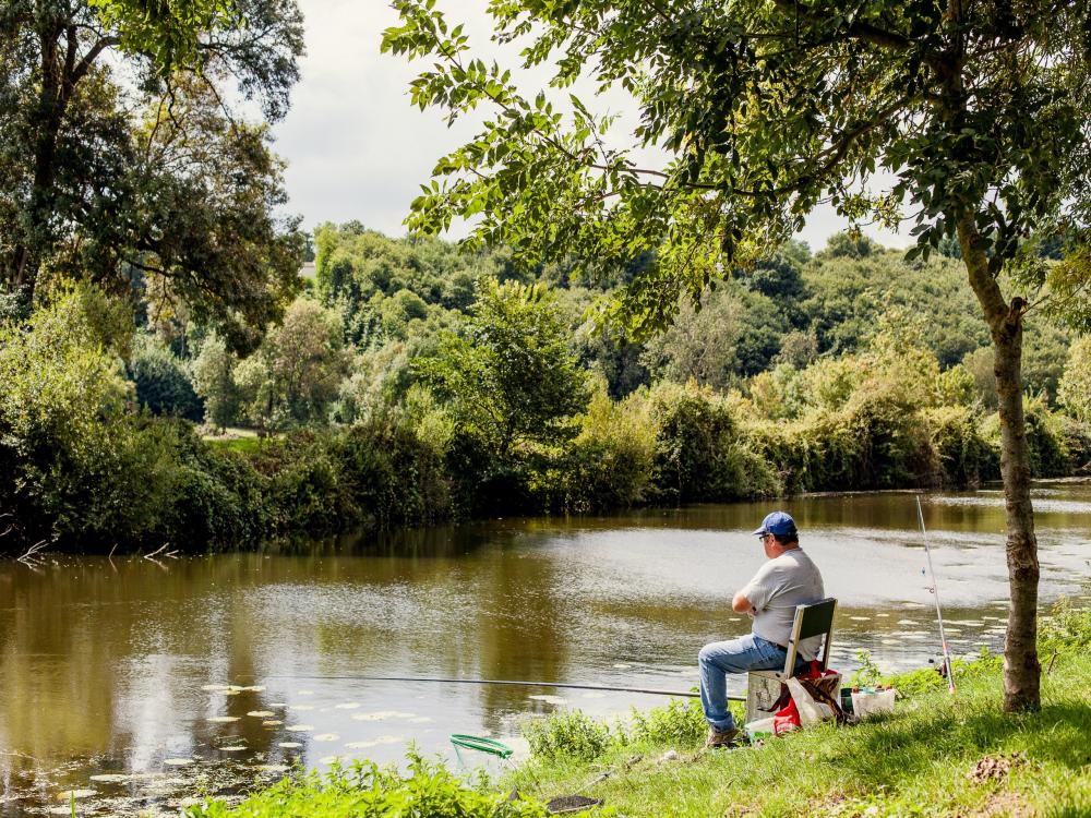 Paysagiste Le Brin d'herbe - Mareuil sur Lay Mareuil-sur-Lay-Dissais