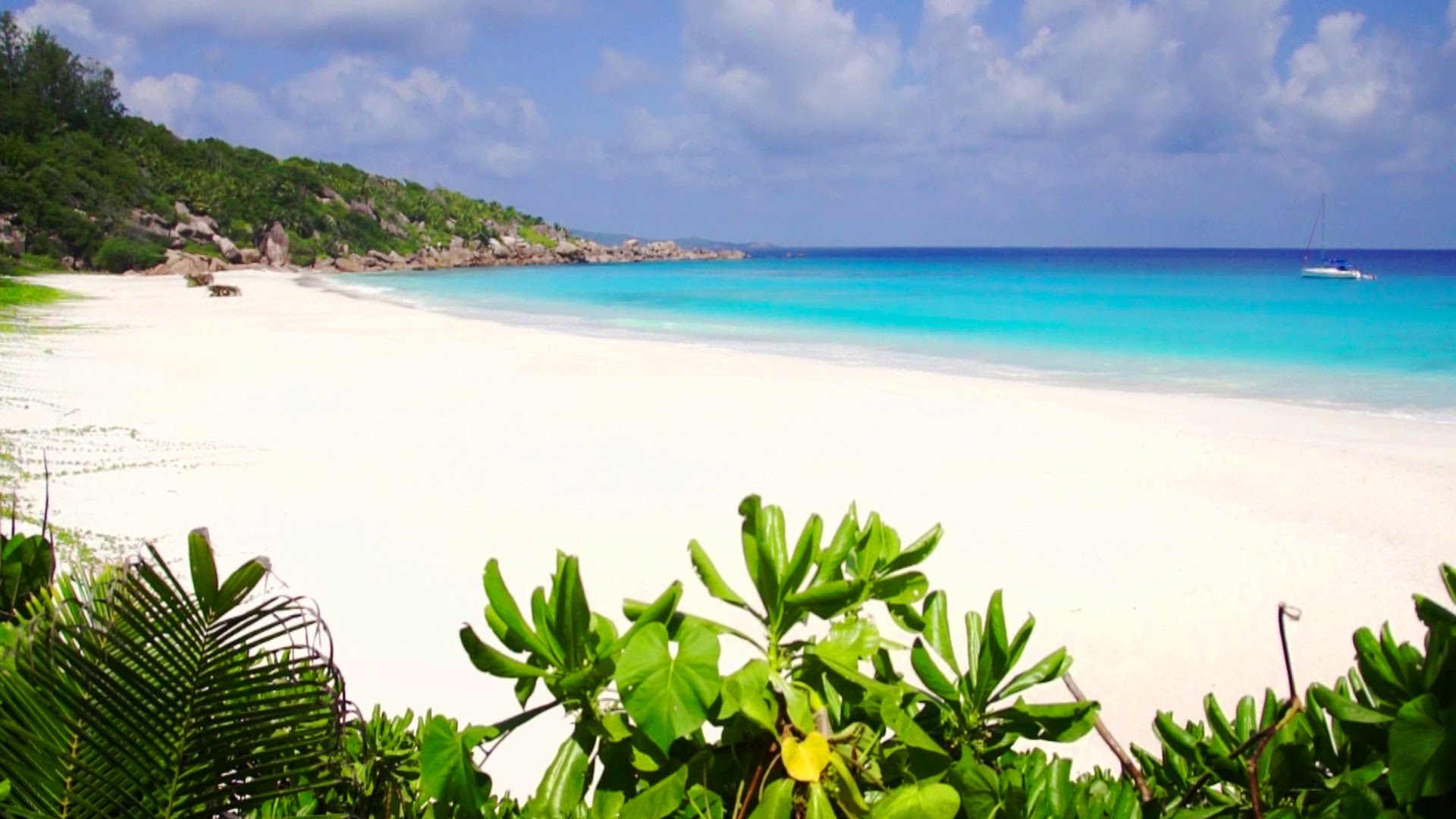 Alexandre Paysage Anse