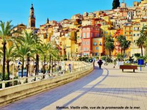 Bourdeau Benoît Conseil en Jardin Menton