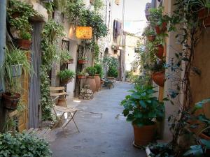 VIDAL JARDIN ALPES MARITIMES Mougins