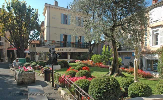 L'ORCHIDEE VANDA Mougins