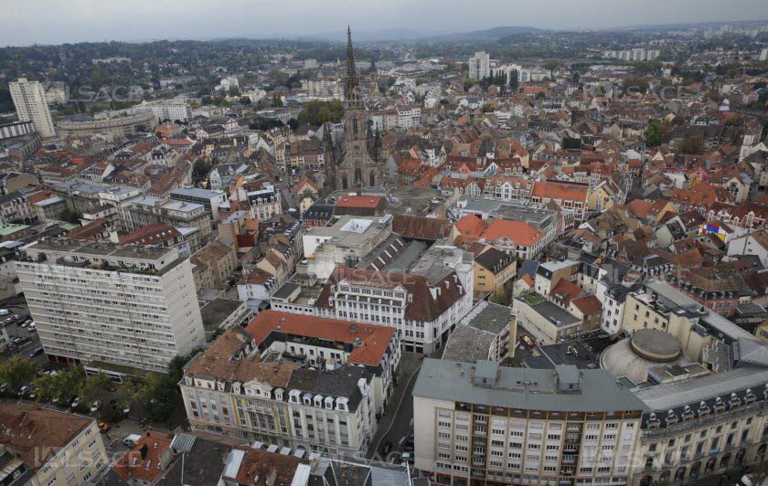 Elagage et Paysage du Haut Rhin Mulhouse