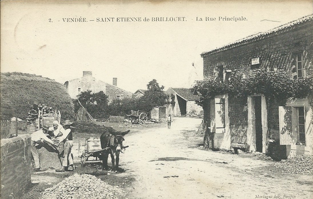 NATURE PAYSAGE Saint-Étienne-de-Brillouet