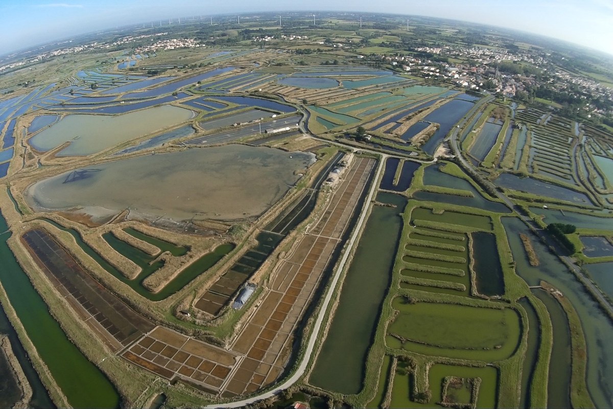 Meunier Espaces Verts L'Île-d'Olonne