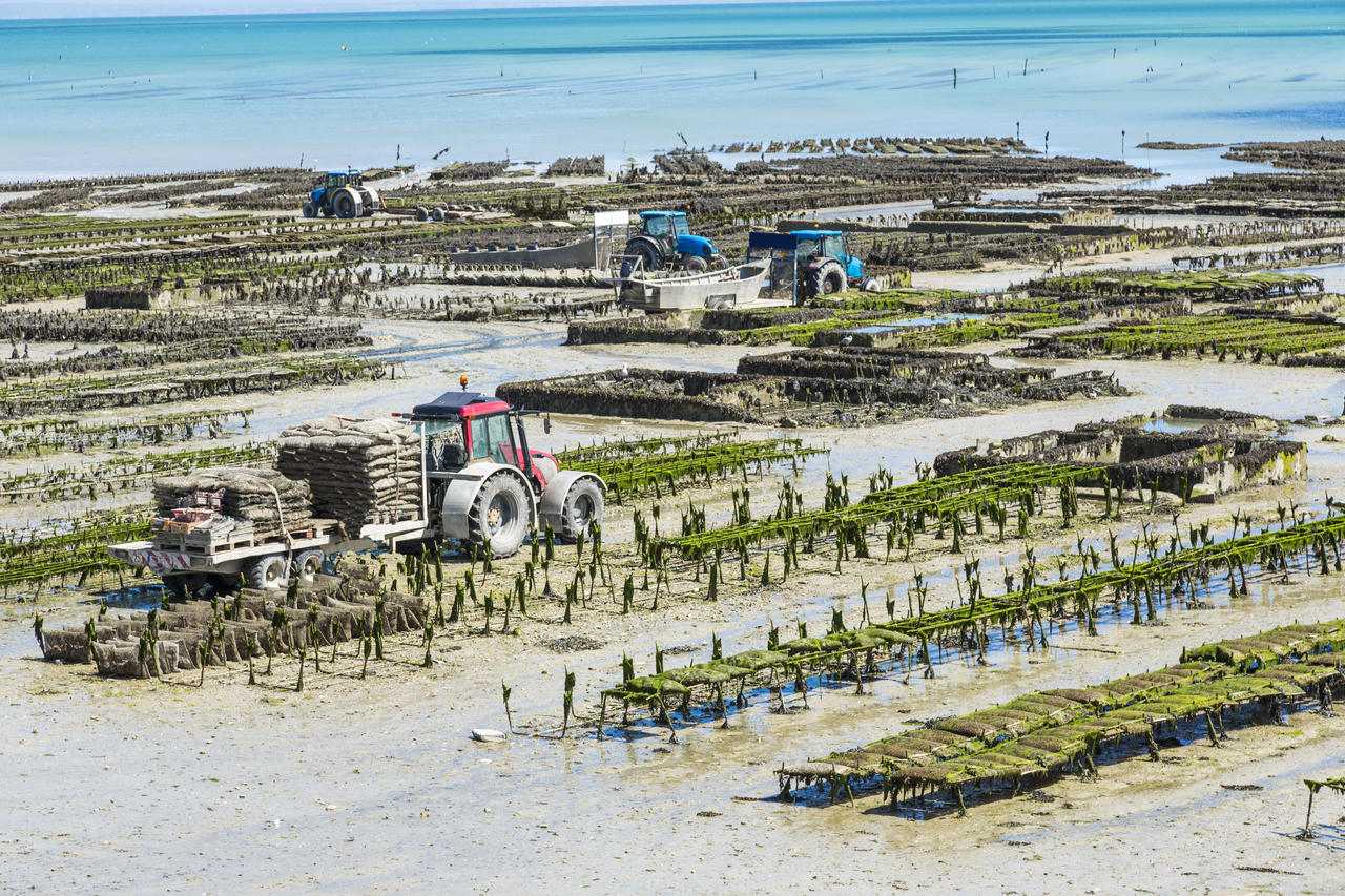 La Bêche Créative Cancale
