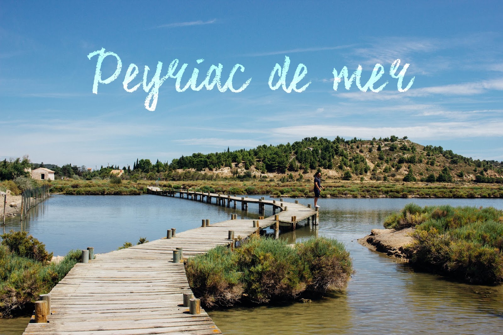 Cortes Brice Peyriac-de-Mer