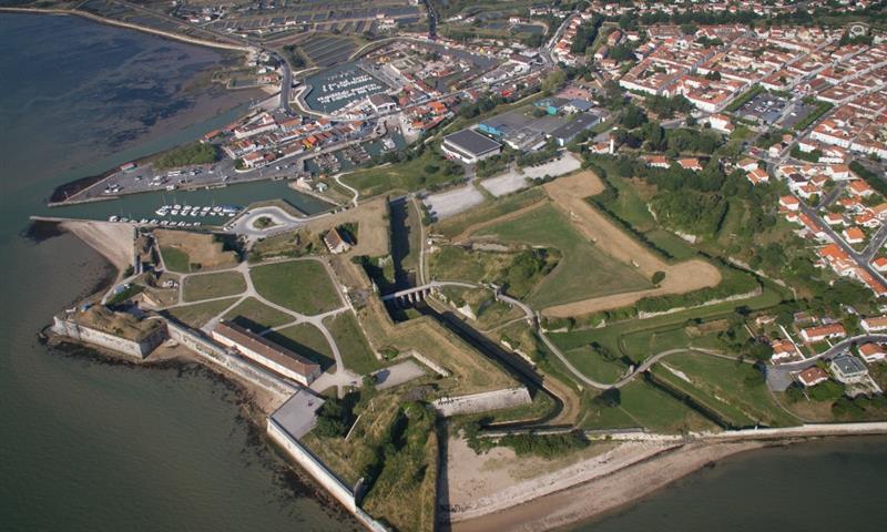 Arbres et paysages Le Château-d'Oléron