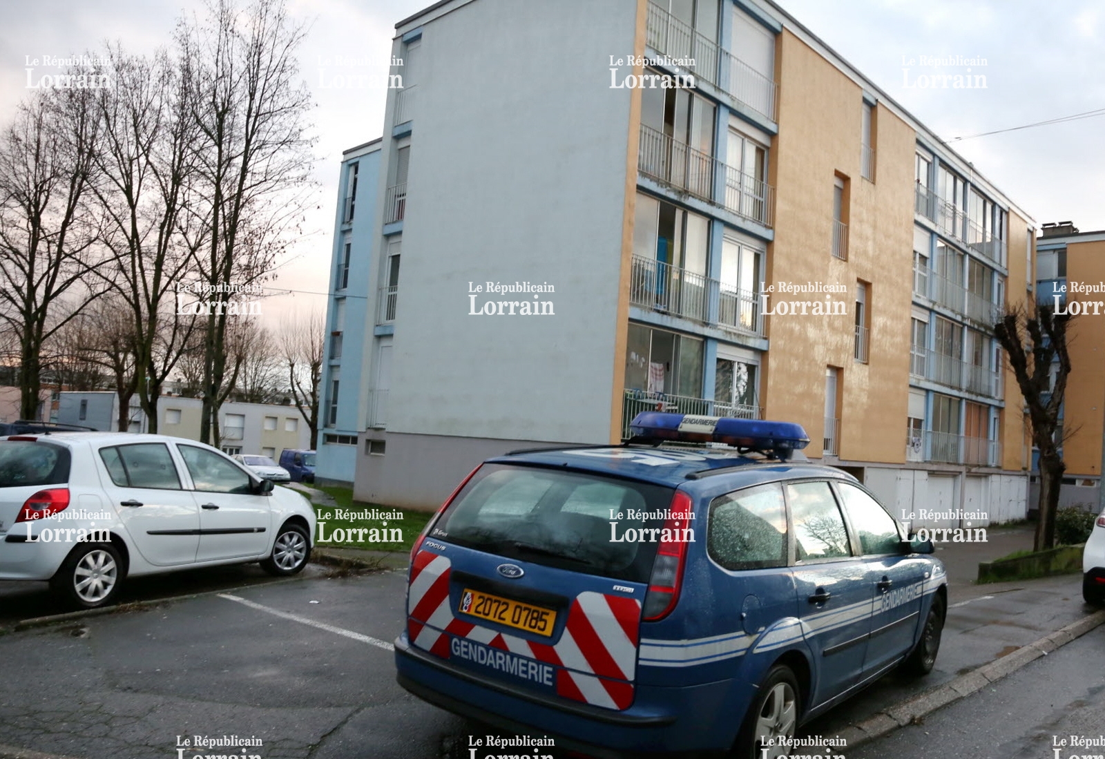 La Main Verte Maizières-lès-Metz