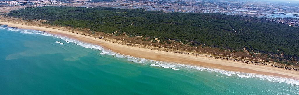 Pépinières Marmin Olonne-sur-Mer