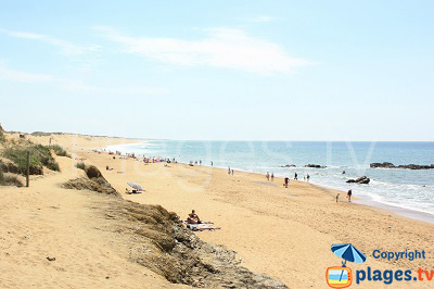 Pépinière Grelier Olonne-sur-Mer