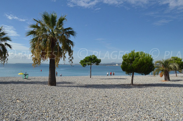 De Mori Jean-Marc Sebastien Saint-Laurent-du-Var