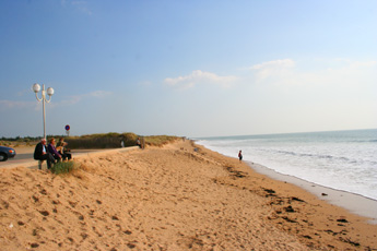 CHAIGNEAU PAYSAGISTE La Barre-de-Monts