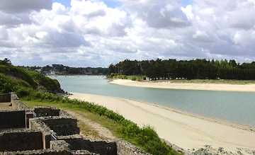 Agapanthe Plestin-les-Grèves