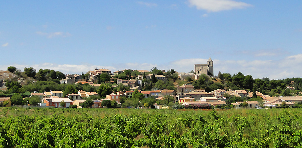 Arbre Eau Et Sens Rochefort-du-Gard