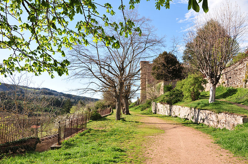 Atelier du Ginkgo Saint-Haon-le-Châtel