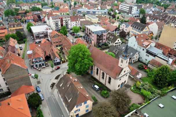 Neal Rabat Paysagiste Schiltigheim