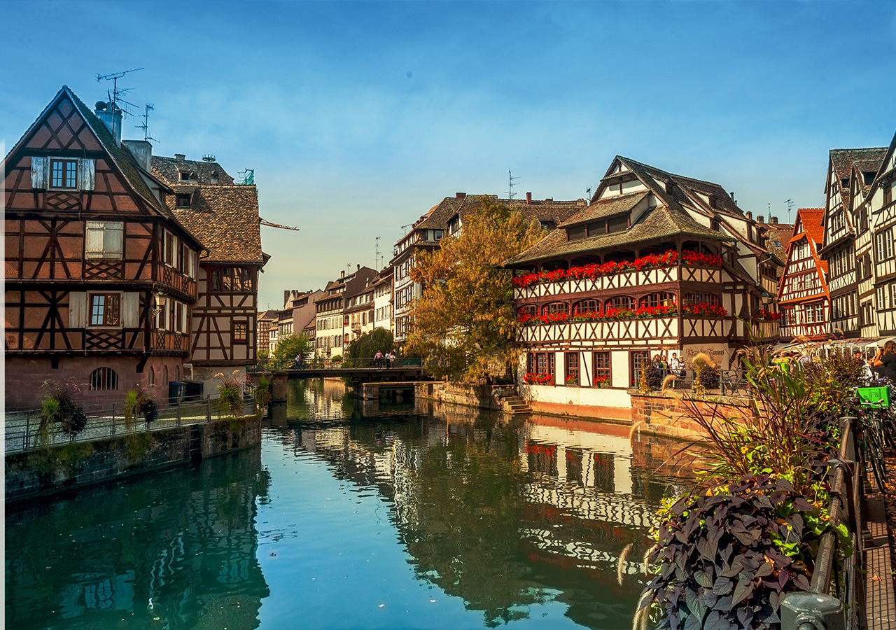 Fg Designer Paysagiste Strasbourg