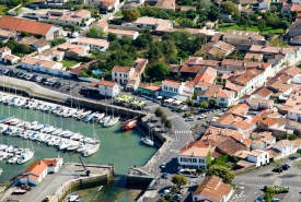Guilbon Pépinière Ars-en-Ré