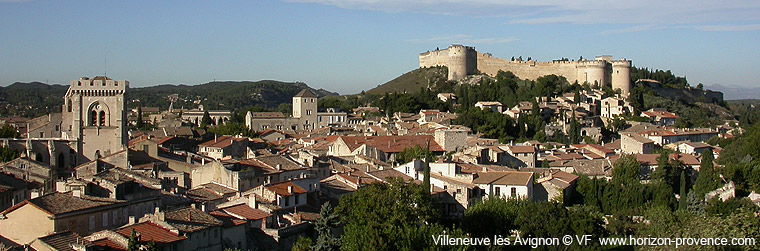 Villeneuve Jardins Et Services Villeneuve-lès-Avignon